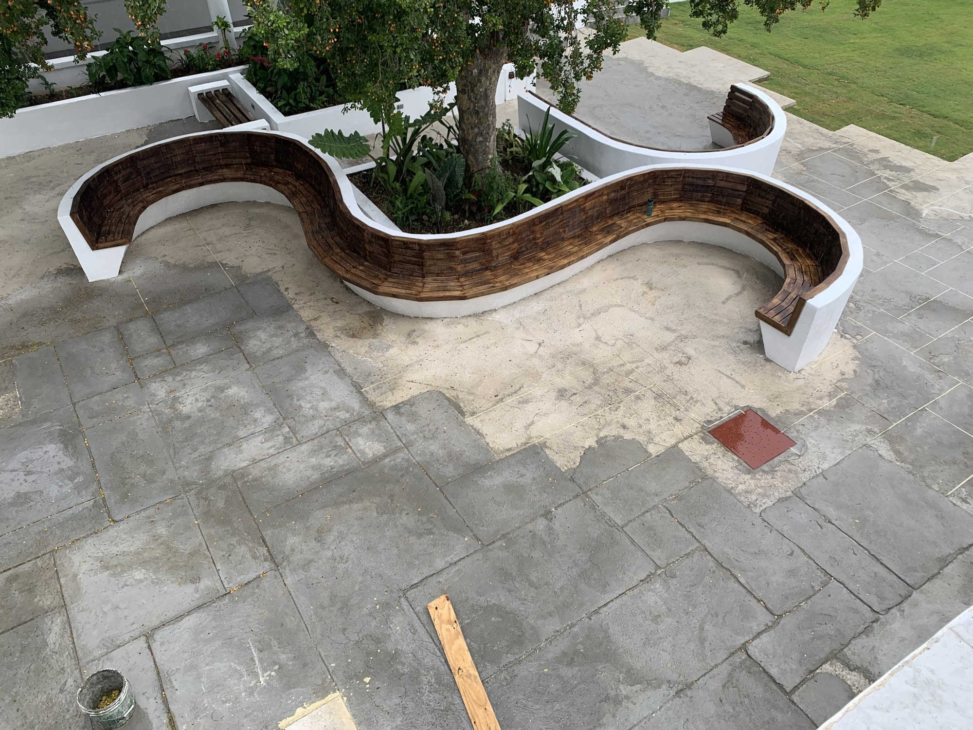 S-shaped concrete seating being formed around a tree during courtyard construction