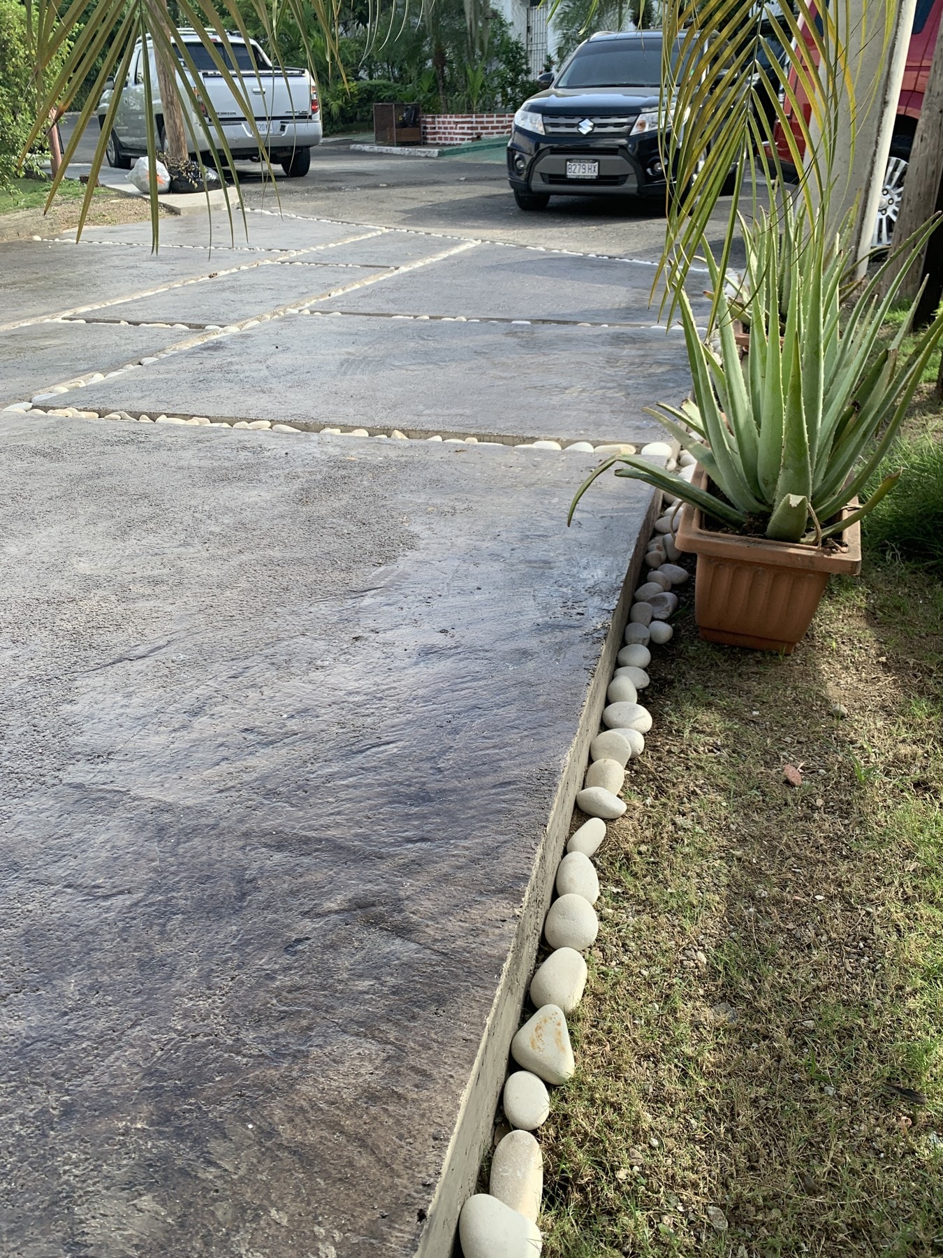 Textured concrete panels and white pebble joints follow the planted edge towards the entrance.